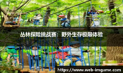 IM电竞官网